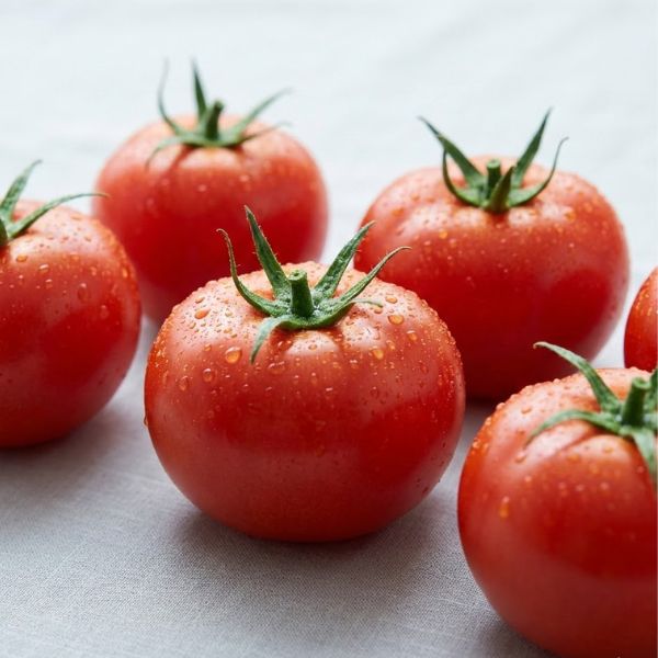 Tomato